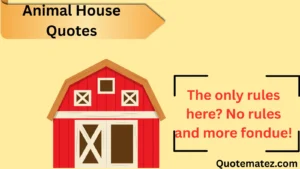 Read more about the article 🐾 Top 165+ Animal House Quotes That Still Rule in 2025