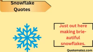 Read more about the article ❄️ 247+ Snowflake Quotes to Melt Hearts Instantly in 2025
