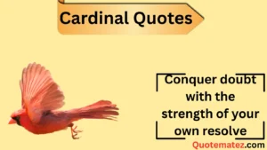 Read more about the article 247+Cardinal Quotes to Inspire and Uplift Your Spirit 2025
