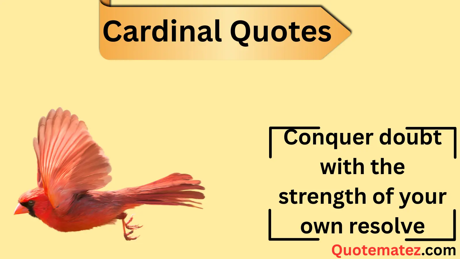 You are currently viewing 247+Cardinal Quotes to Inspire and Uplift Your Spirit 2025