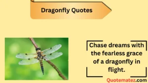 Read more about the article 100+ Dragonfly Quotes to Lift Your icon in 2025