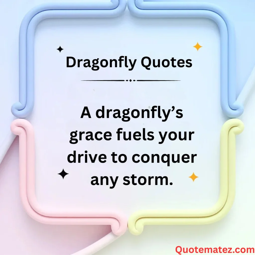 Dragonfly Quotes for Motivation