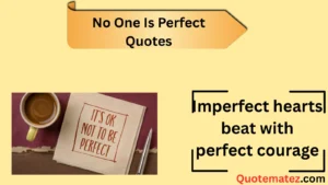 Read more about the article 157+ No One Is Perfect Quotes for 2025 Inspiration