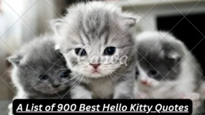 Read more about the article 900+Best Hello Kitty Quotes for 2025