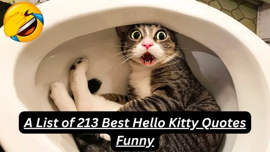Hello Kitty Quotes Funny