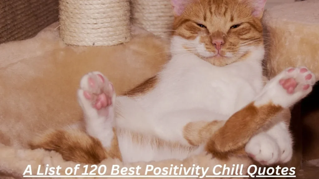 Positivity Chill Quotes
